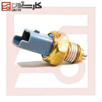 405 - هانتر - مهره دنده عقب