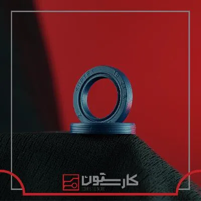 206 - کاسه نمد ماهک ليور (TITIK) تيتيک