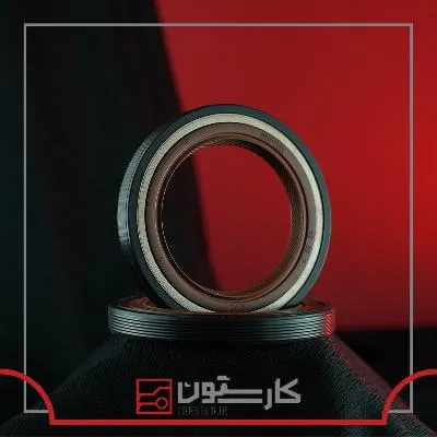 405 - کاسه نمد جلو موتور (TITIK) تيتيک