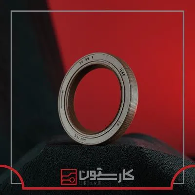 405 - 206 - کاسه نمد ميل سوپاپ وايتون (TITIK) تيتيک