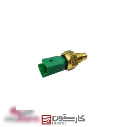 پيکان پژو - مهره اب (31280) FAE