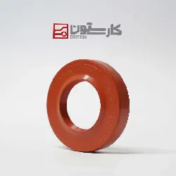روآ - کاسه نمد عقب گيربکس 2280 (CBS) يا همياران