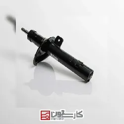 دناپلاس - کمک فنر جلو راست عظام