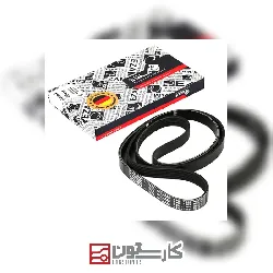 206تيپ5 - تسمه دينام (1575) پوست ماري عظام