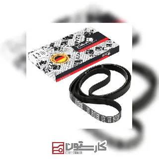 206تيپ5 - تسمه دينام (1575) پوست ماري عظام