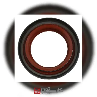 405 - کاسه نمد بزرگ پلوس (TITIK) تيتيک
