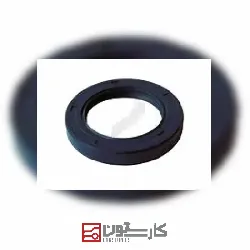 آريسان - کاسه نمد پنيون